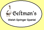 Geltman's Welsh Springer Spaniels